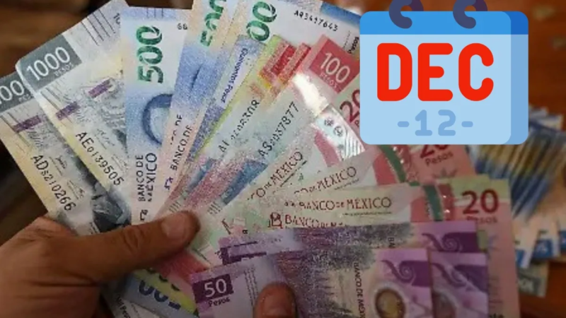 LFT: ¿cuánto te deben pagar si trabajas el 31 de diciembre en Veracruz?