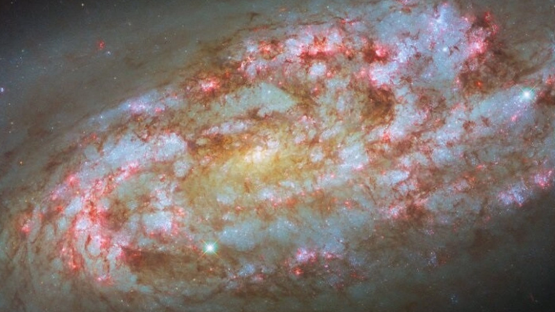 Telescopio Hubble publica imagen de galaxia espiral tormentosa ubicada a 50 millones de años luz