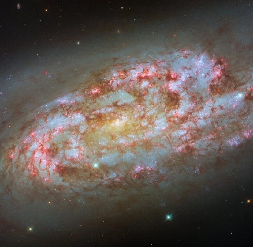 Telescopio Hubble publica imagen de galaxia espiral tormentosa ubicada a 50 millones de años luz