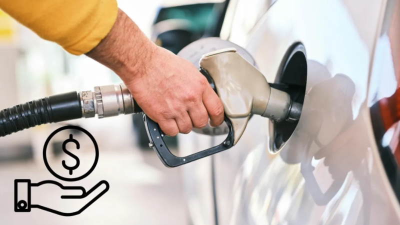 Precio de la gasolina en Coatzacoalcos hoy 14 de noviembre; ¿dónde es más barata?