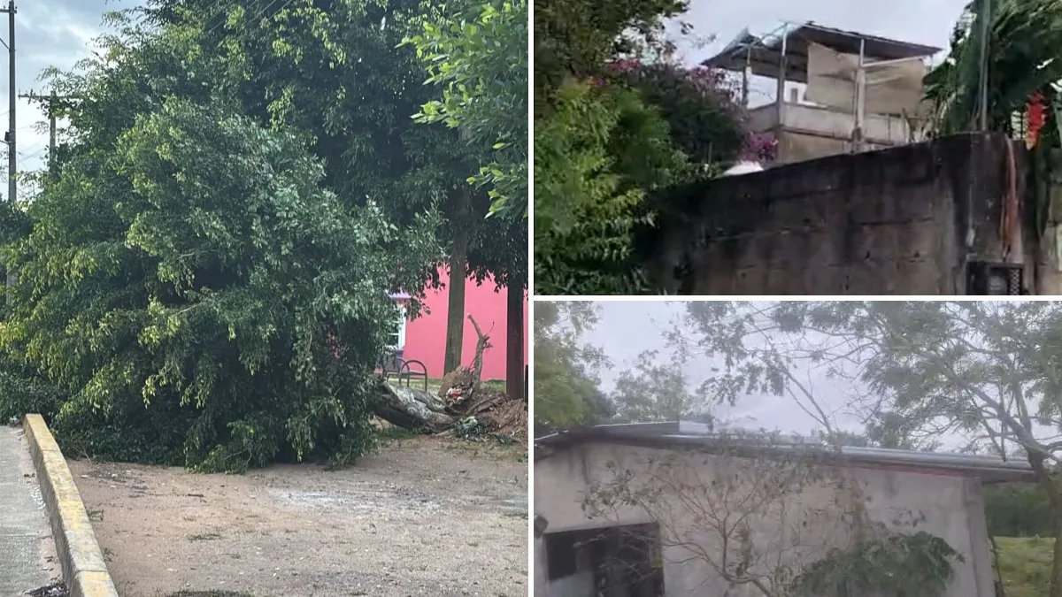 Frente Frío 27: Más de 20 viviendas dañadas por fuertes vientos en Sayula de Alemán