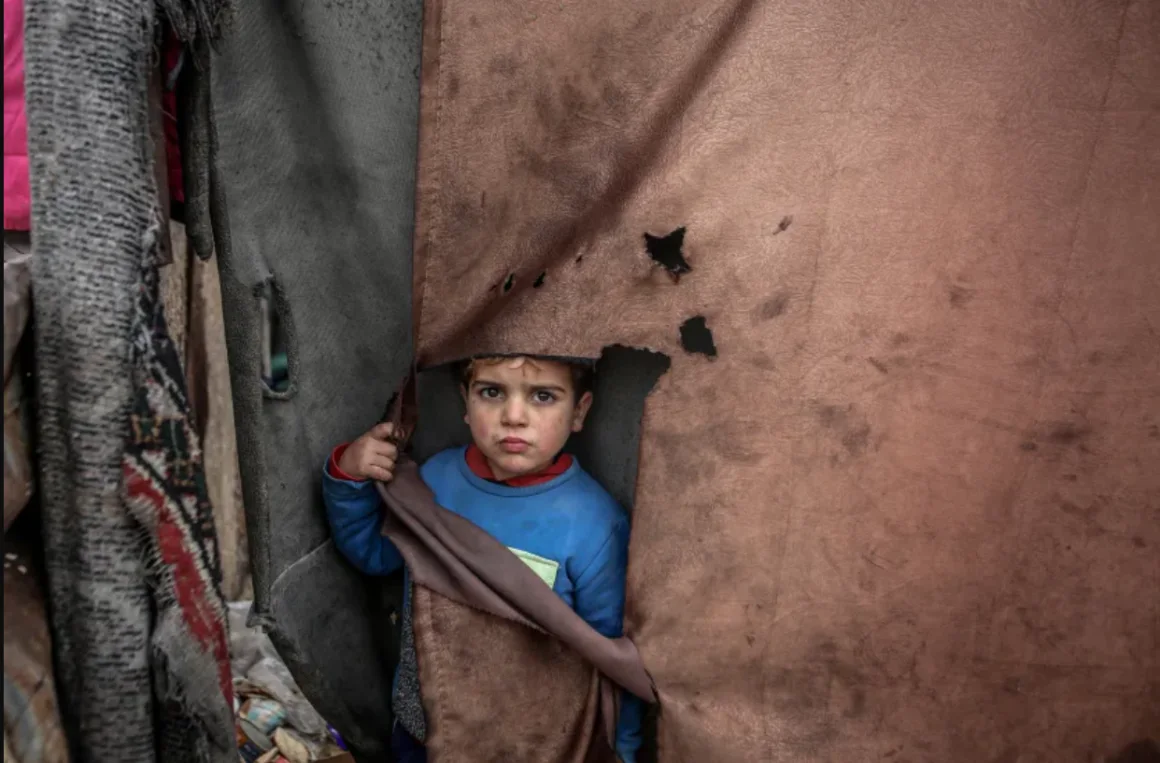 El frío y la desnutrición cobran más víctimas en Gaza en medio de las lluvias invernales