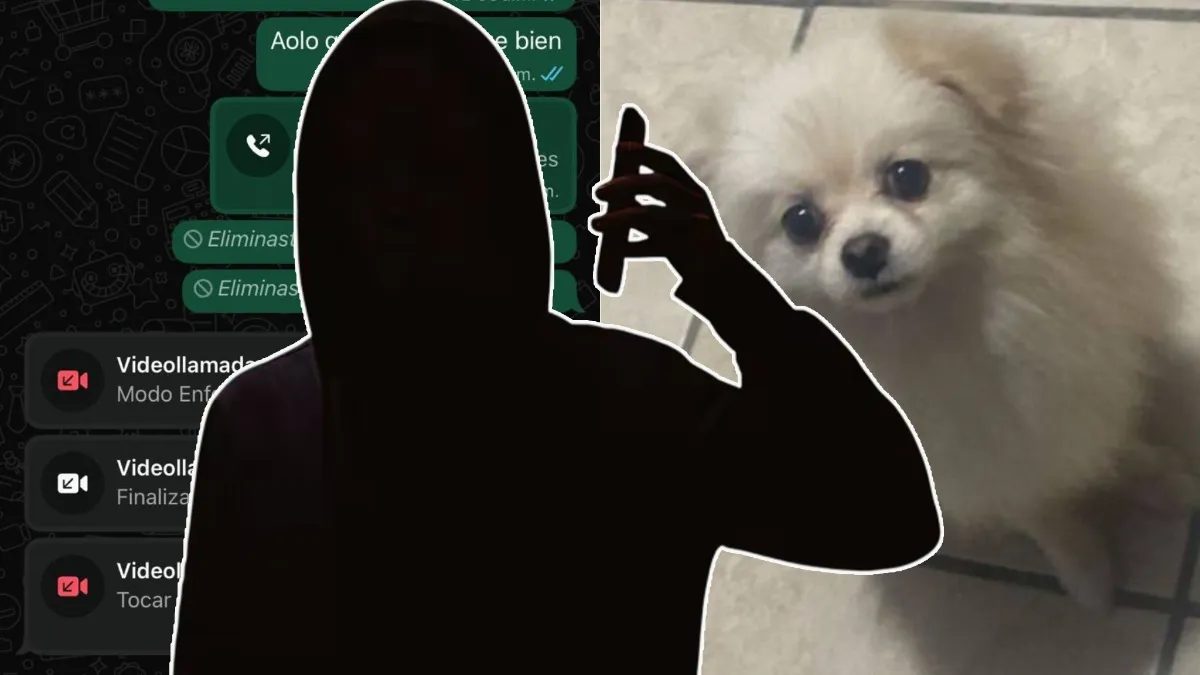 Delincuentes aprovechan extravío de mascota para extorsionar a familia de Minatitlán