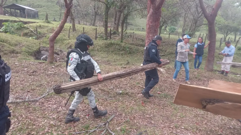 Desarticulan aserraderos clandestinos en San Andrés Tuxtla