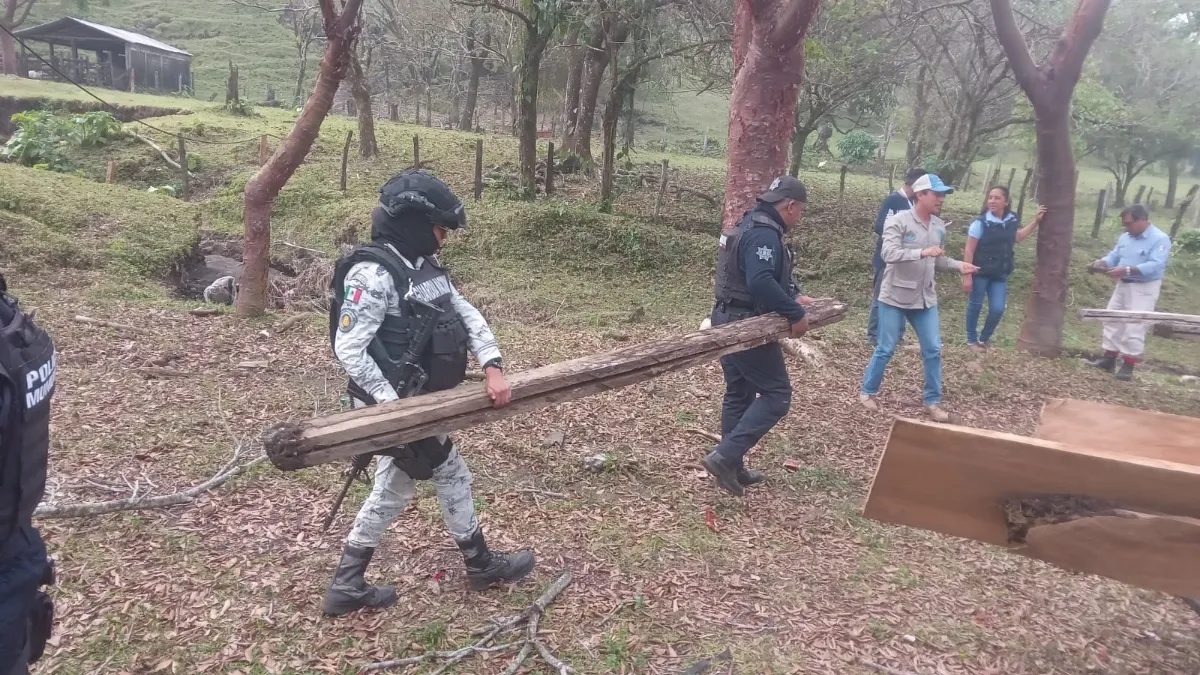 Desarticulan aserraderos clandestinos en San Andrés Tuxtla
