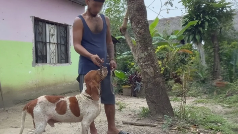 Propietario denuncia envenenamiento de sus mascotas en Las Choapas