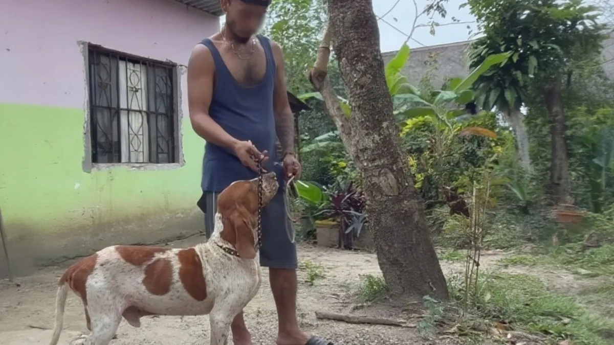 Propietario denuncia envenenamiento de sus mascotas en Las Choapas