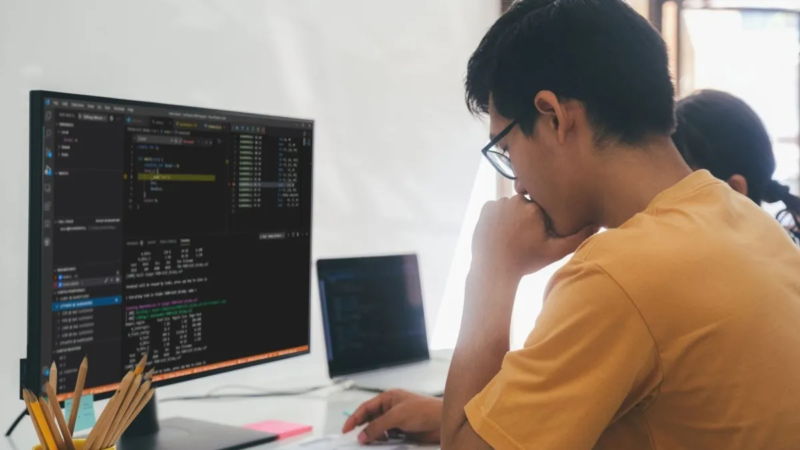 Vacante de Desarrollador de Software en Coatzacoalcos con sueldo de 22 mil al mes, aquí los requisitos