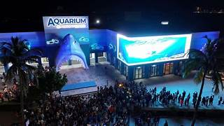 Aquarium habilita venta de boletos en línea