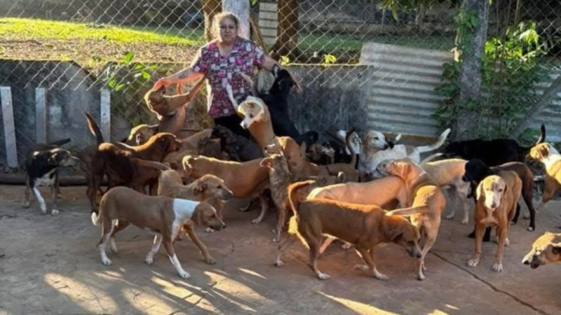 Activista denuncia amenazas tras exigir justicia por perro macheteado en Acayucan