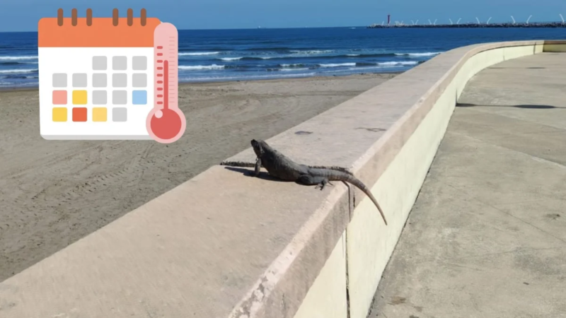 Frente frío 41 se lleva las bajas temperaturas de Veracruz en esta fecha