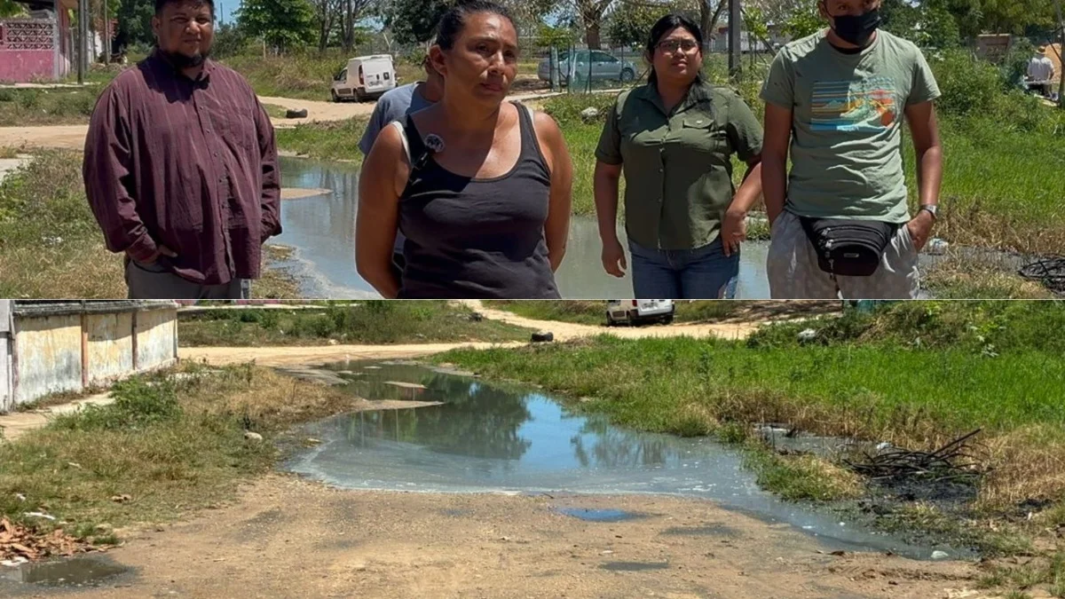 Drenaje colapsado y residuos animales afectan a decenas de familias en Minatitlán