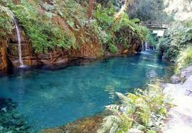 ¿Por qué cerraron el paraíso de Pancho Poza en Veracruz?