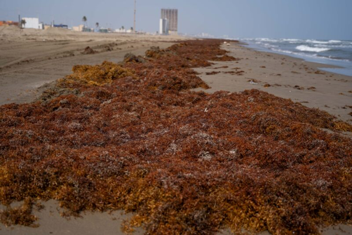 La playa ahora es marrón