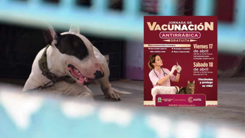 Protege a tu mascota: Anuncian en Coatzacoalcos Jornada de Vacunación antirrábica | Lugar y fechas
