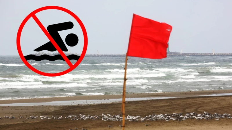 Bandera roja en playas de Coatzacoalcos: prohíben nadar por Frente Frío 45