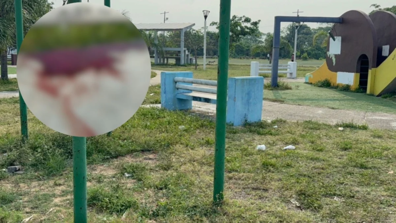 Macabro hallazgo en Coatzacoalcos; Encuentran a mujer sin vida en parque de Ciudad Olmeca