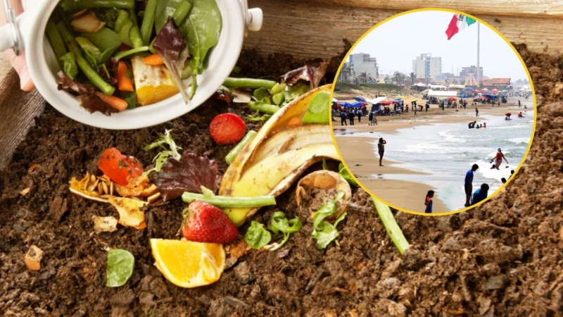 Programa de compostaje impulsa cultura ambiental en Coatzacoalcos