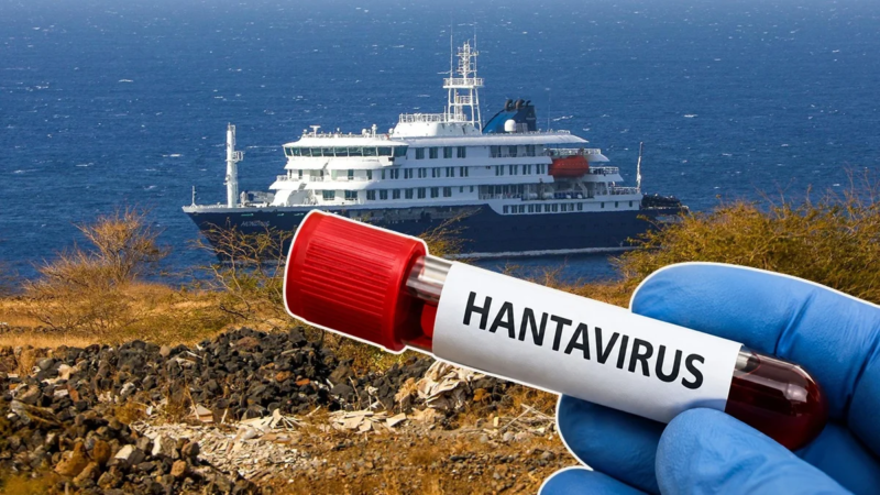 Hantavirus: ¿se aproxima una nueva pandemia?, esto dice la OMS