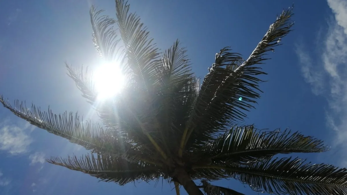 Ambiente caluroso continuará en 24 estados pero prevén lluvias fuertes en estas regiones