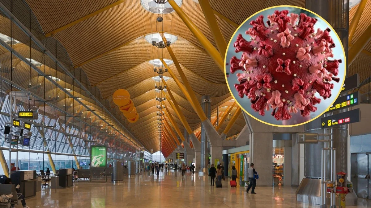 Alerta en España por posible caso de hantavirus ligado a crucero: esto es lo que se sabe