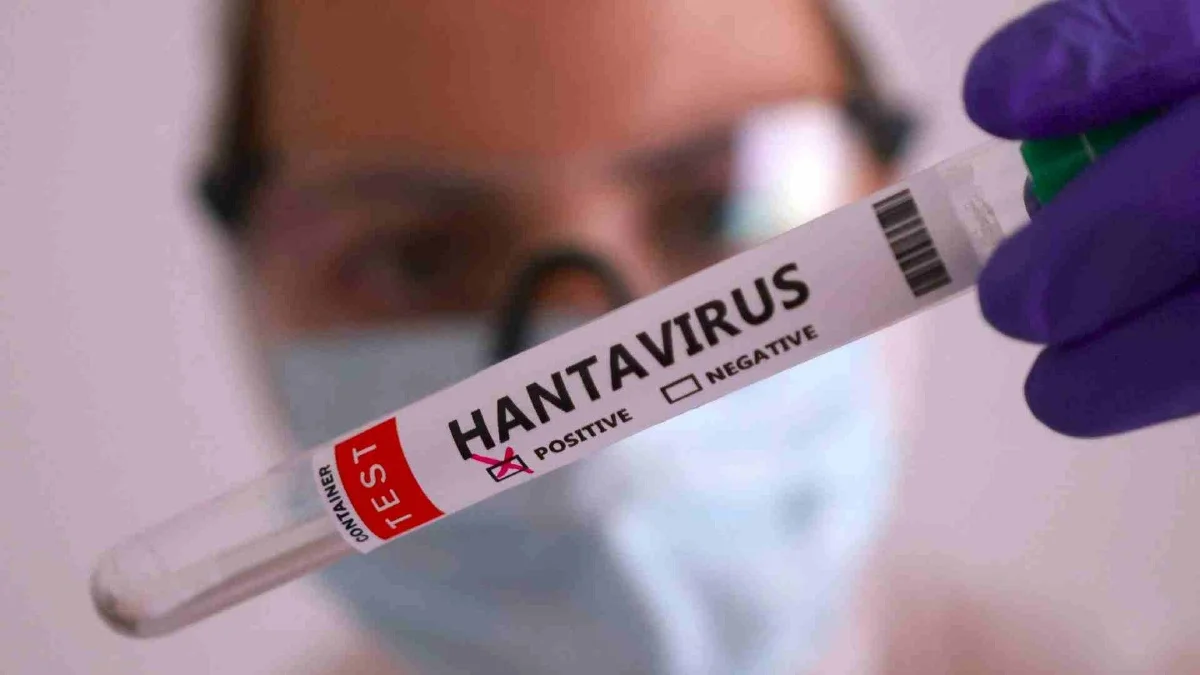 ¿Hay casos de hantavirus en México? Autoridades activan alerta epidemiológica preventiva