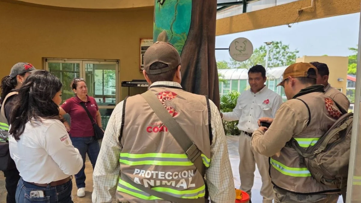 Parque Jaguaroundi reabre y realiza liberación de especies silvestres