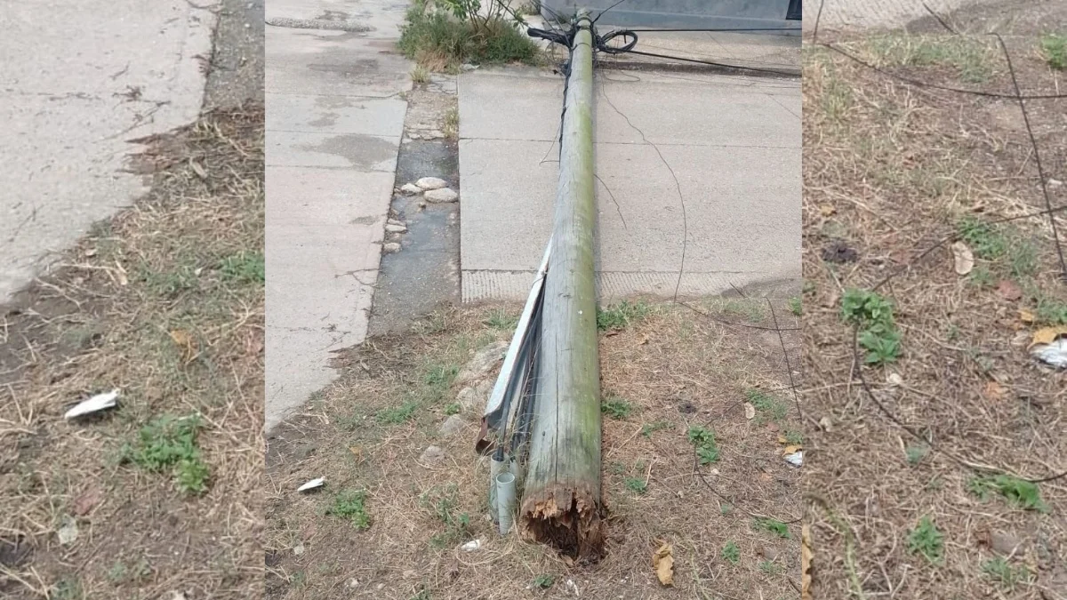 Poste colapsa en Coatzacoalcos y preocupa a habitantes del sector