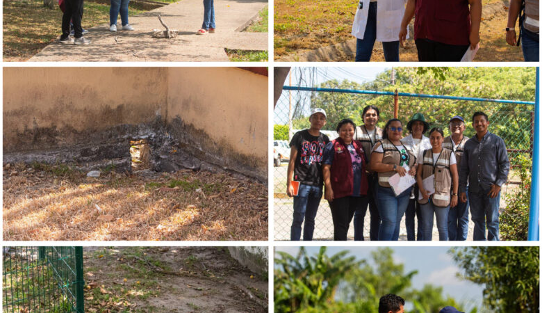Impulsan medidas preventivas para la certificación de espacios libres de dengue en Nanchital