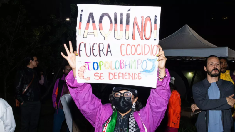 Planta de amoniaco en Topolobampo sigue vigente; Semarnat refuerza vigilancia en Bahía de Ohuira