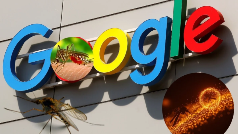 Google libera millones de mosquitos contra el dengue