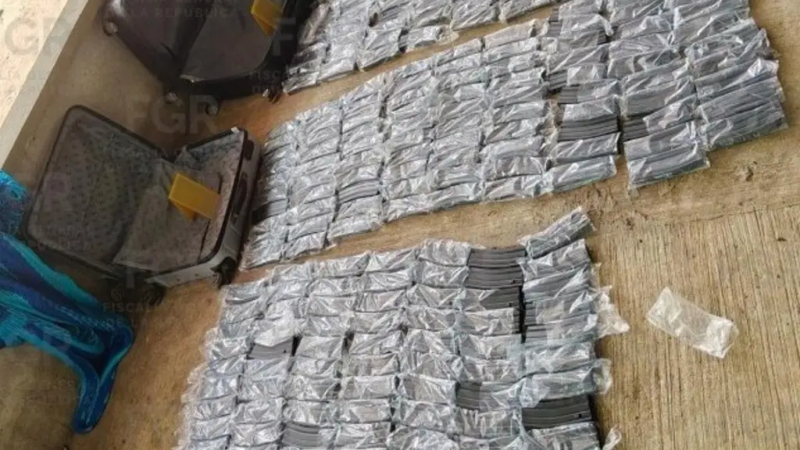 FGR asegura un arsenal, equipo táctico, droga y vehículos en cateos al sur de Veracruz