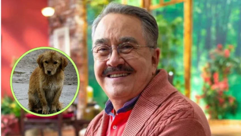 Amiga de Wendy Guvara enfurece contra Pedro Sola tras comentario sobre los perros: “Ni para hacer comerciales sirves”