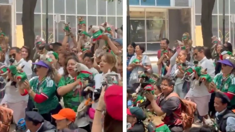 Porra de Chihuahuas derrite a las redes con su playera tricolor previo al México vs Inglaterra