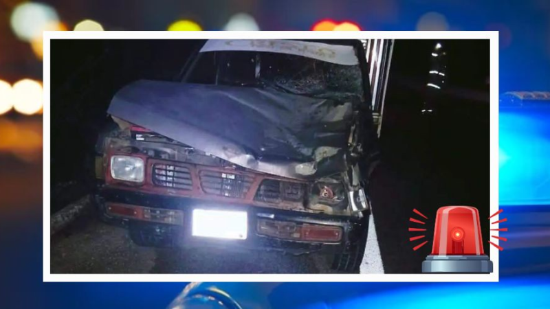 Bovino atraviesa el parabrisas de una camioneta y deja siete lesionados en Chiapas