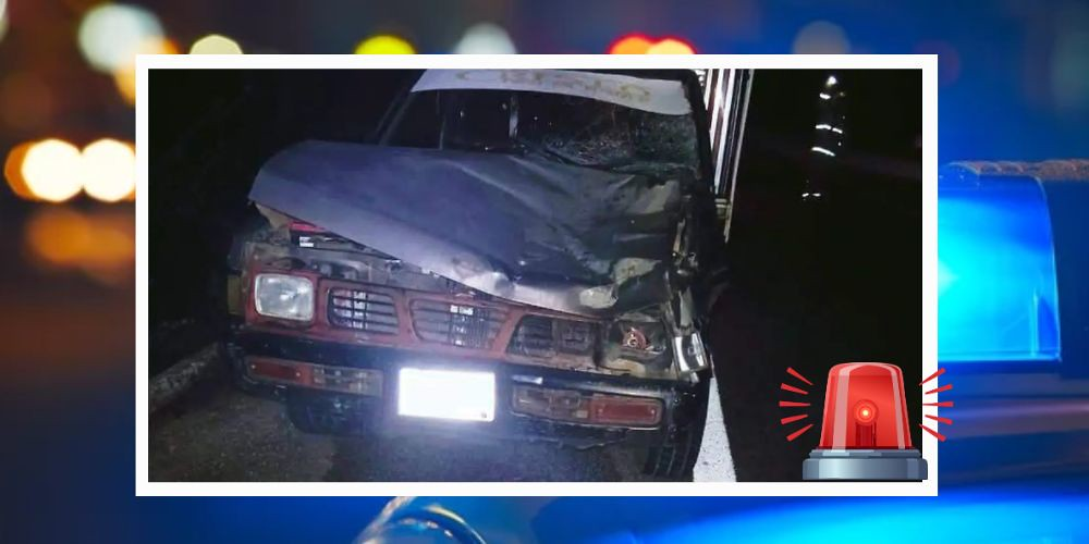 Bovino atraviesa el parabrisas de una camioneta y deja siete lesionados en Chiapas
